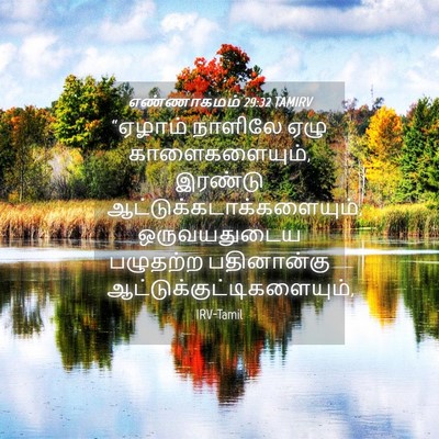 Picture 04 - எண்ணாகமம் 29:32 TAMIRV - “ஏழாம் நாளிலே ஏழு - Bible Verse Picture