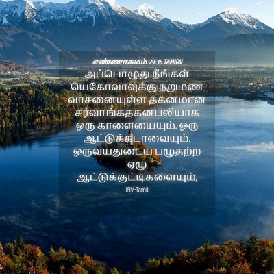 Picture 04 - எண்ணாகமம் 29:36 TAMIRV - அப்பொழுது நீங்கள் - Bible Verse Picture
