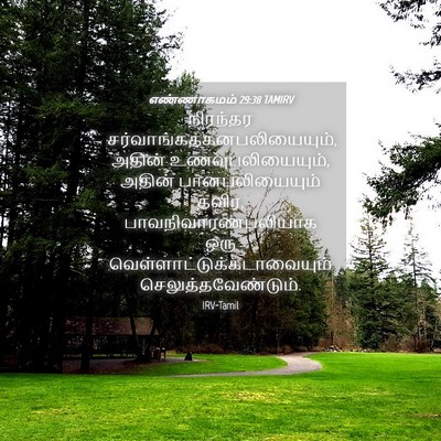 Picture 04 - எண்ணாகமம் 29:38 TAMIRV - நிரந்தர - Bible Verse Picture
