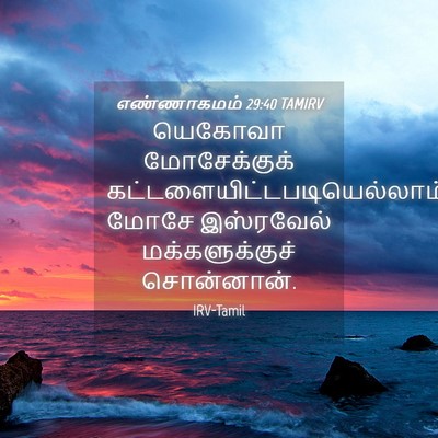 Picture 04 - எண்ணாகமம் 29:40 TAMIRV - யெகோவா மோசேக்குக் - Bible Verse Picture