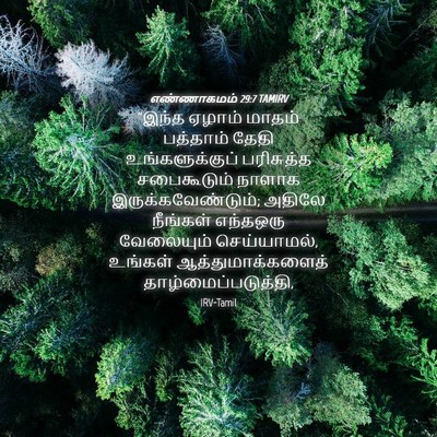 Picture 04 - எண்ணாகமம் 29:7 TAMIRV - “இந்த ஏழாம் மாதம் - Bible Verse Picture
