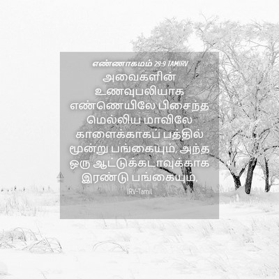 Picture 04 - எண்ணாகமம் 29:9 TAMIRV - அவைகளின் - Bible Verse Picture