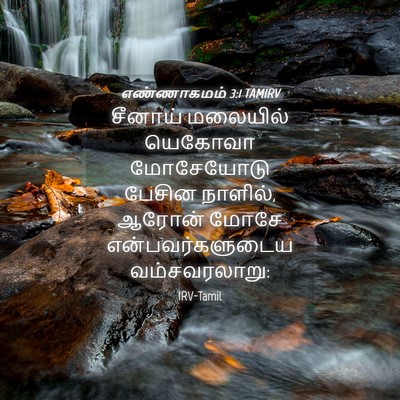 Picture 04 - எண்ணாகமம் 3:1 TAMIRV - சீனாய் மலையில் - Bible Verse Picture