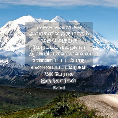 Picture 04 - எண்ணாகமம் 3:22 TAMIRV - அவர்களில் ஒரு - Bible Verse Picture