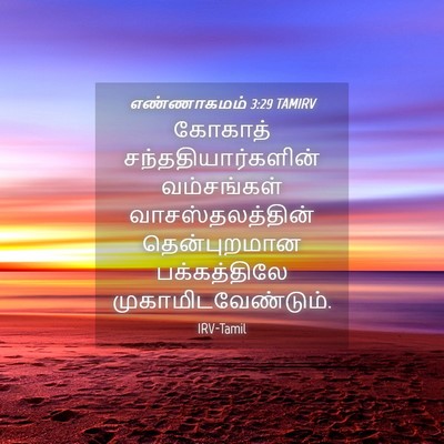 Picture 04 - எண்ணாகமம் 3:29 TAMIRV - கோகாத் - Bible Verse Picture