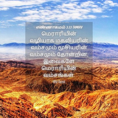 Picture 04 - எண்ணாகமம் 3:33 TAMIRV - மெராரியின் வழியாக - Bible Verse Picture