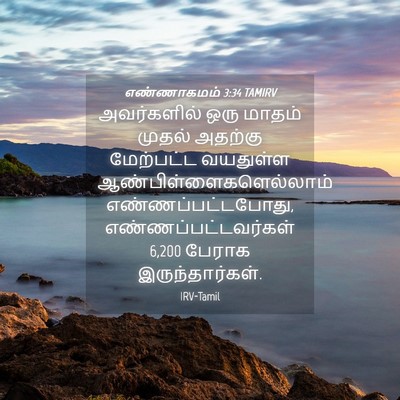 Picture 04 - எண்ணாகமம் 3:34 TAMIRV - அவர்களில் ஒரு - Bible Verse Picture