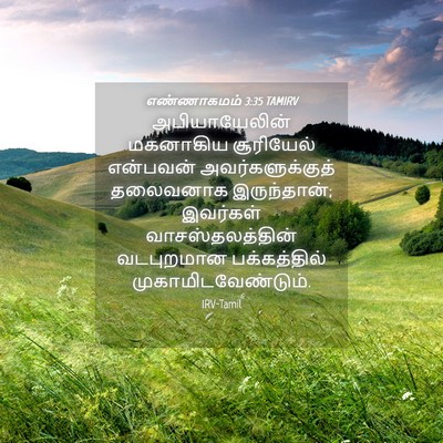 Picture 04 - எண்ணாகமம் 3:35 TAMIRV - அபியாயேலின் - Bible Verse Picture
