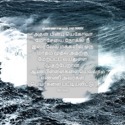 Picture 04 - எண்ணாகமம் 3:40 TAMIRV - “அதன் பின்பு - Bible Verse Picture