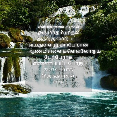 Picture 04 - எண்ணாகமம் 3:43 TAMIRV - ஒரு மாதம் முதல் - Bible Verse Picture