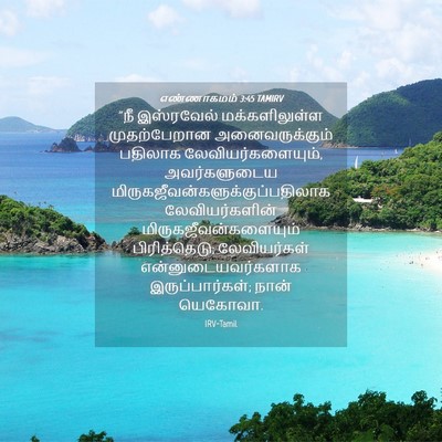 Picture 04 - எண்ணாகமம் 3:45 TAMIRV - “நீ இஸ்ரவேல் - Bible Verse Picture