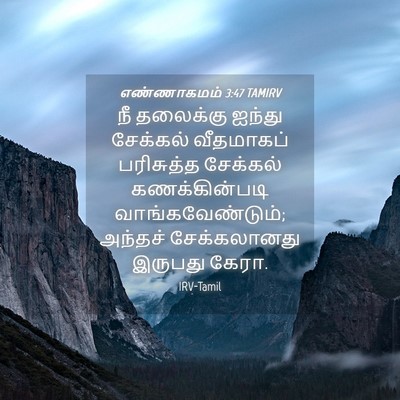 Picture 04 - எண்ணாகமம் 3:47 TAMIRV - நீ தலைக்கு ஐந்து - Bible Verse Picture