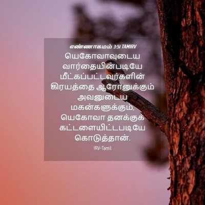 Picture 04 - எண்ணாகமம் 3:51 TAMIRV - யெகோவாவுடைய - Bible Verse Picture
