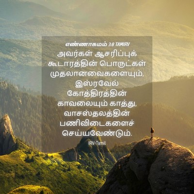 Picture 04 - எண்ணாகமம் 3:8 TAMIRV - அவர்கள் - Bible Verse Picture