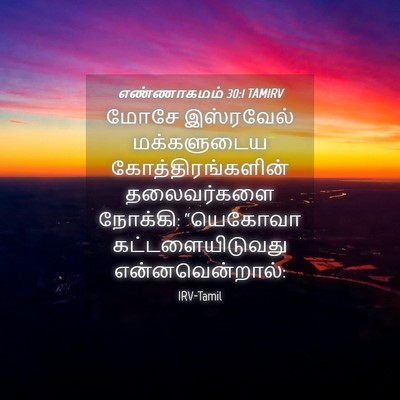 Picture 04 - எண்ணாகமம் 30:1 TAMIRV - மோசே இஸ்ரவேல் - Bible Verse Picture