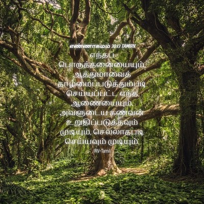 Picture 04 - எண்ணாகமம் 30:13 TAMIRV - எந்தப் - Bible Verse Picture