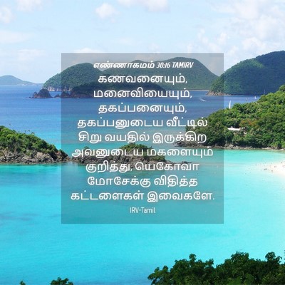 Picture 04 - எண்ணாகமம் 30:16 TAMIRV - கணவனையும், - Bible Verse Picture