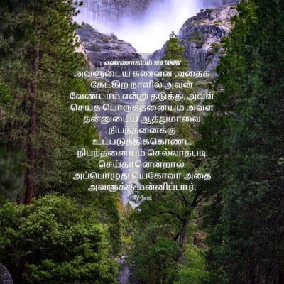 Picture 04 - எண்ணாகமம் 30:8 TAMIRV - அவளுடைய கணவன் - Bible Verse Picture