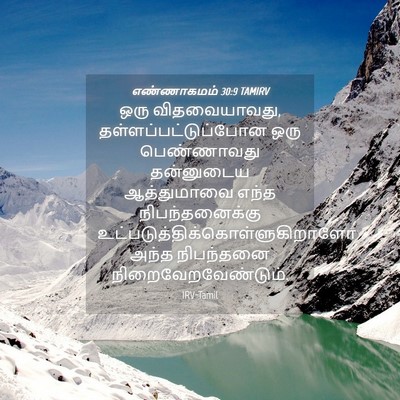 Picture 04 - எண்ணாகமம் 30:9 TAMIRV - ஒரு விதவையாவது, - Bible Verse Picture