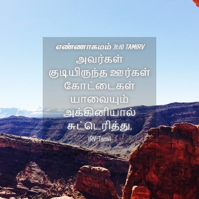 Picture 04 - எண்ணாகமம் 31:10 TAMIRV - அவர்கள் - Bible Verse Picture