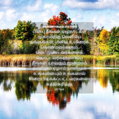 Picture 04 - எண்ணாகமம் 31:19 TAMIRV - பின்பு நீங்கள் - Bible Verse Picture