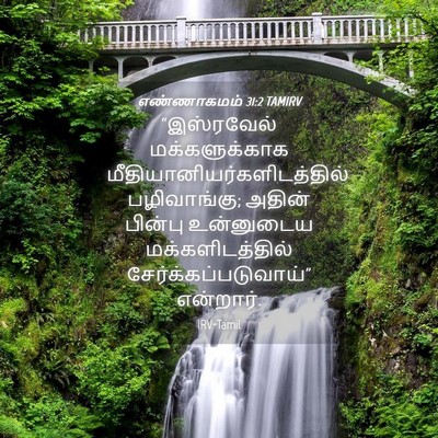 Picture 04 - எண்ணாகமம் 31:2 TAMIRV - “இஸ்ரவேல் - Bible Verse Picture