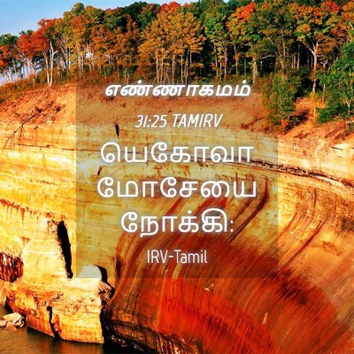 Picture 04 - எண்ணாகமம் 31:25 TAMIRV - யெகோவா மோசேயை - Bible Verse Picture