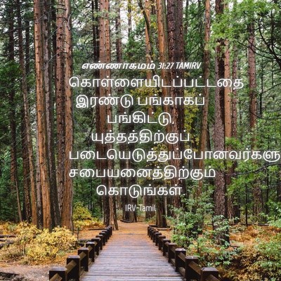 Picture 04 - எண்ணாகமம் 31:27 TAMIRV -  - Bible Verse Picture