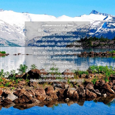 Picture 04 - எண்ணாகமம் 31:30 TAMIRV - இஸ்ரவேல் மக்களின் - Bible Verse Picture