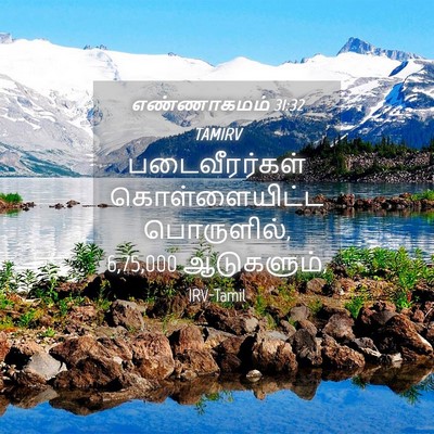 Picture 04 - எண்ணாகமம் 31:32 TAMIRV - படைவீரர்கள் - Bible Verse Picture