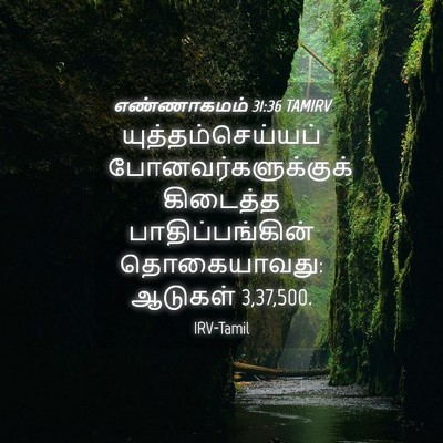Picture 04 - எண்ணாகமம் 31:36 TAMIRV - யுத்தம்செய்யப் - Bible Verse Picture