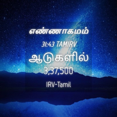 Picture 04 - எண்ணாகமம் 31:43 TAMIRV - ஆடுகளில் - Bible Verse Picture