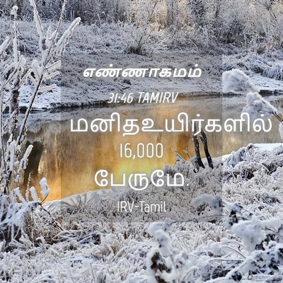 Picture 04 - எண்ணாகமம் 31:46 TAMIRV - மனிதஉயிர்களில் 16,000 - Bible Verse Picture