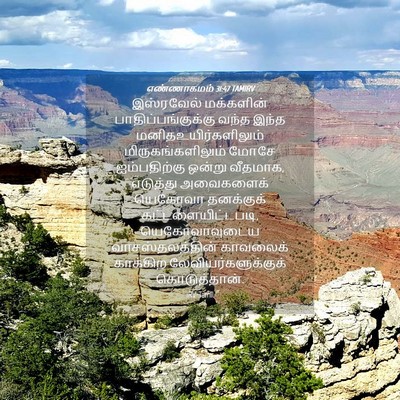 Picture 04 - எண்ணாகமம் 31:47 TAMIRV - இஸ்ரவேல் மக்களின் - Bible Verse Picture