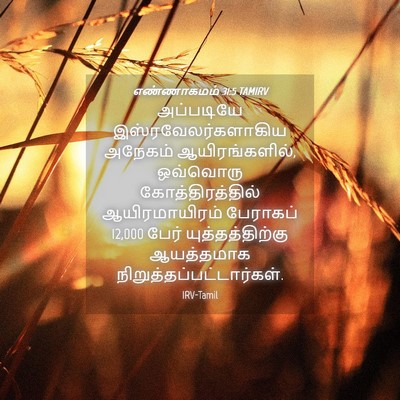 Picture 04 - எண்ணாகமம் 31:5 TAMIRV - அப்படியே - Bible Verse Picture