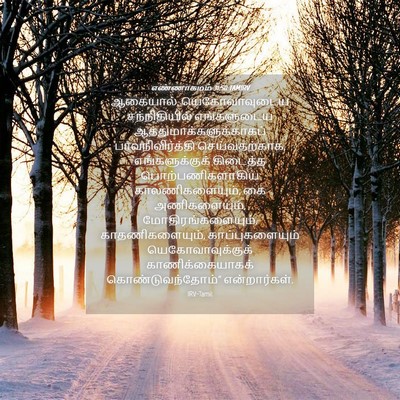 Picture 04 - எண்ணாகமம் 31:50 TAMIRV - ஆகையால், - Bible Verse Picture