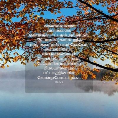 Picture 04 - எண்ணாகமம் 31:8 TAMIRV - அவர்களைக் - Bible Verse Picture