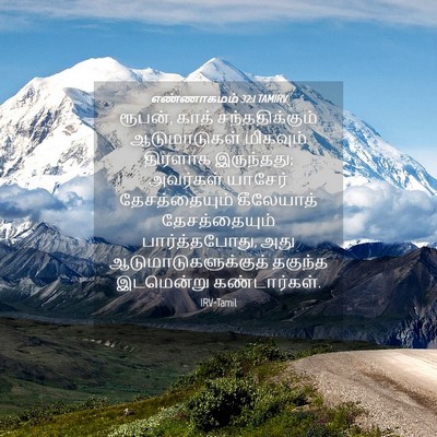 Picture 04 - எண்ணாகமம் 32:1 TAMIRV - ரூபன், காத் - Bible Verse Picture