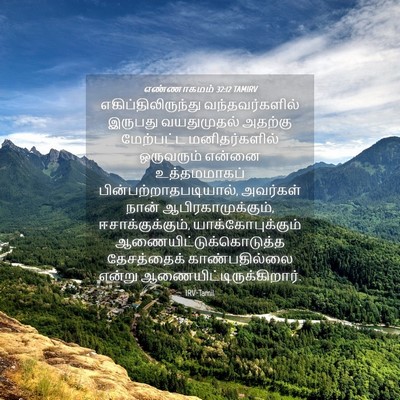 Picture 04 - எண்ணாகமம் 32:12 TAMIRV - எகிப்திலிருந்து - Bible Verse Picture