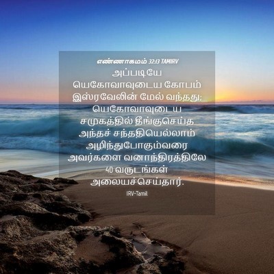 Picture 04 - எண்ணாகமம் 32:13 TAMIRV - அப்படியே - Bible Verse Picture