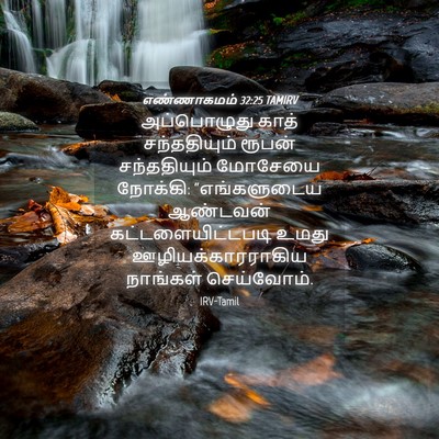 Picture 04 - எண்ணாகமம் 32:25 TAMIRV - அப்பொழுது காத் - Bible Verse Picture