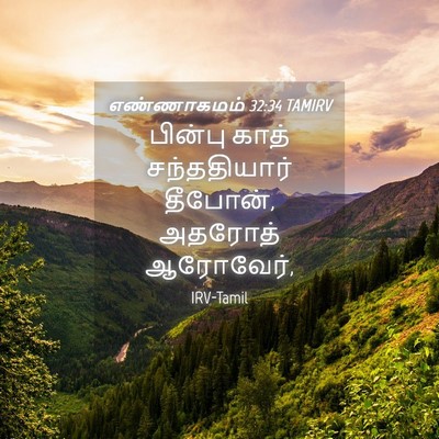 Picture 04 - எண்ணாகமம் 32:34 TAMIRV - பின்பு காத் - Bible Verse Picture
