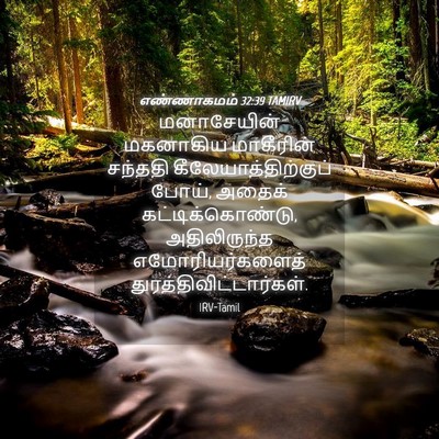 Picture 04 - எண்ணாகமம் 32:39 TAMIRV - மனாசேயின் மகனாகிய - Bible Verse Picture