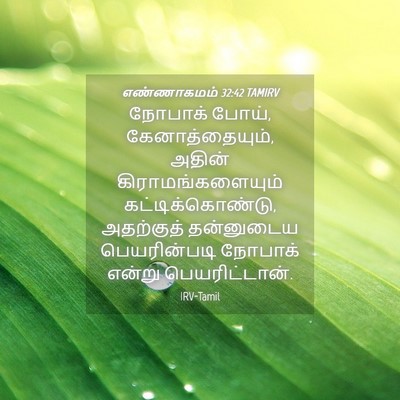 Picture 04 - எண்ணாகமம் 32:42 TAMIRV - நோபாக் போய், - Bible Verse Picture