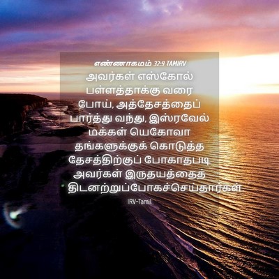 Picture 04 - எண்ணாகமம் 32:9 TAMIRV - அவர்கள் எஸ்கோல் - Bible Verse Picture