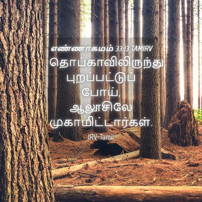 Picture 04 - எண்ணாகமம் 33:13 TAMIRV - தொப்காவிலிருந்து - Bible Verse Picture