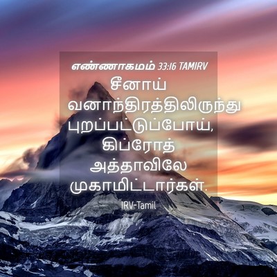 Picture 04 - எண்ணாகமம் 33:16 TAMIRV - சீனாய் - Bible Verse Picture