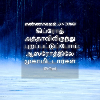Picture 04 - எண்ணாகமம் 33:17 TAMIRV - கிப்ரோத் - Bible Verse Picture