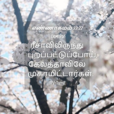 Picture 04 - எண்ணாகமம் 33:22 TAMIRV - ரீசாவிலிருந்து - Bible Verse Picture