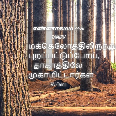Picture 04 - எண்ணாகமம் 33:26 TAMIRV -  - Bible Verse Picture